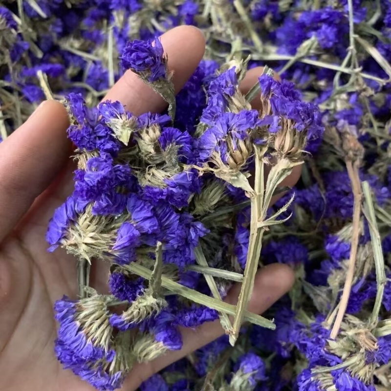 Top Natural Forget-me-not Drie - Soap Making In Home 评论和价格